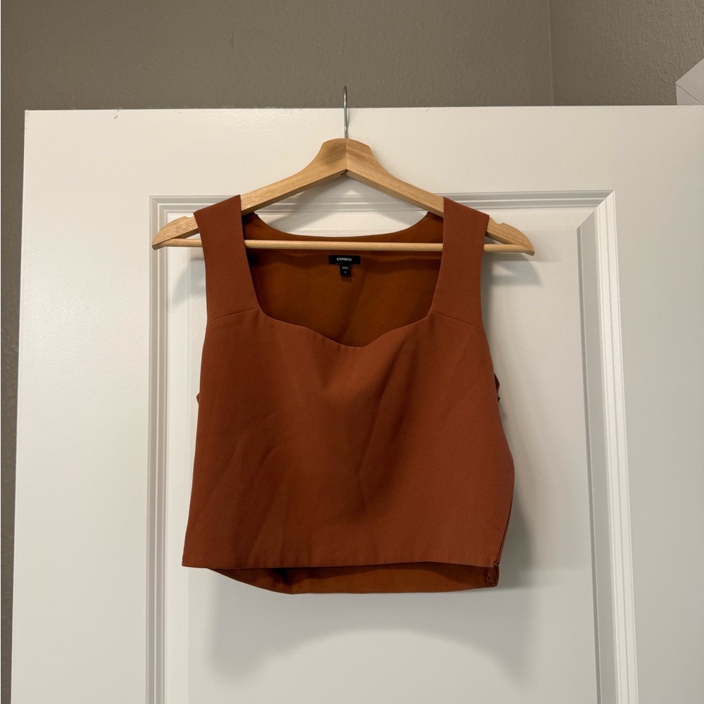Express Rust Sleeveless Crop Top